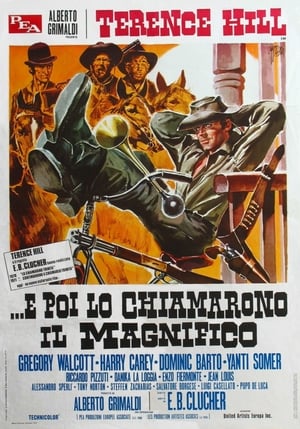 Poster E poi lo chiamarono il magnifico 1972