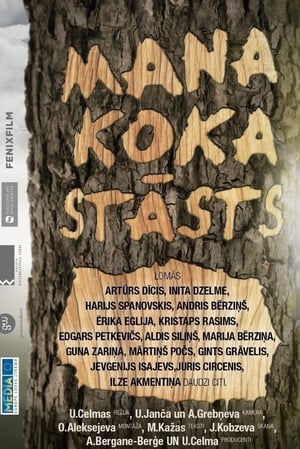 Mana koka stāsts 2013