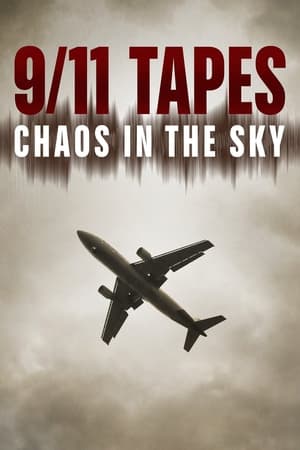 Image The 9/11 Tapes: Chaos in the Sky