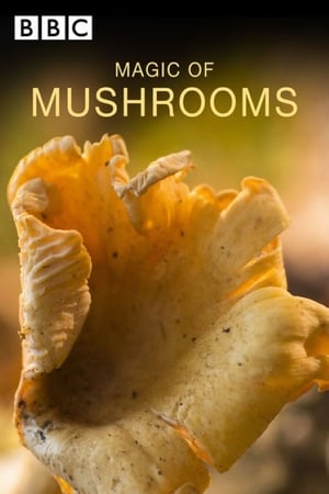 Télécharger The Magic of Mushrooms ou regarder en streaming Torrent magnet 