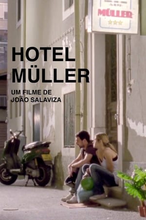 Hotel Müller 2010