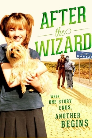 Poster After the Wizard 2011