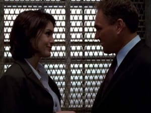 Law & Order: Special Victims Unit Season 1 :Episode 8  Stalked