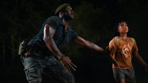 Images posters