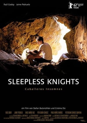 Poster Sleepless Knights 2012