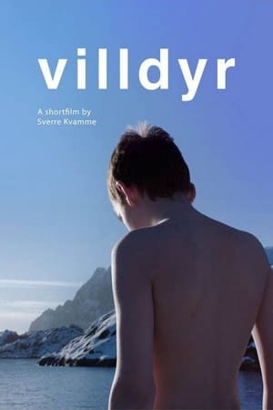 Wild Beasts (2017)