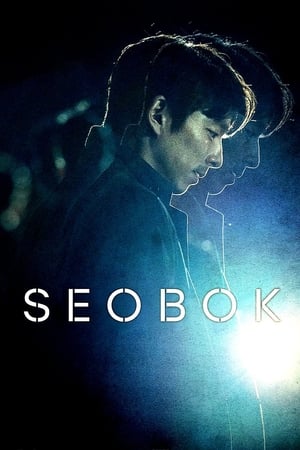 Poster Seobok 2021