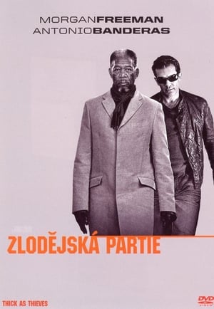 Poster Zlodějská partie 2009