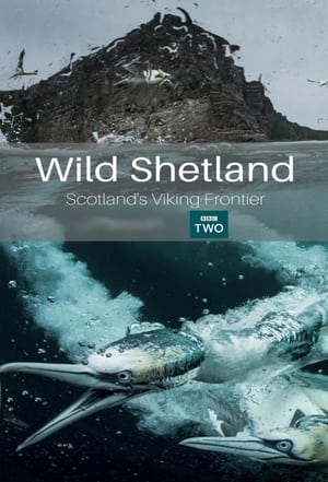 Image Wild Shetland: Scotland's Viking Frontier