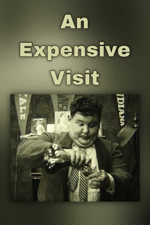 Image An Expensive Visit