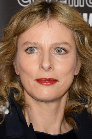 Karin Viard - Filmy, tržby a návštěvnost