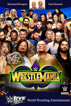 WWE WrestleMania 34 2018