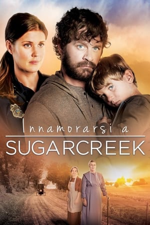 Innamorarsi a Sugarcreek 2014