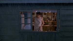 Death and the Maiden (1994)