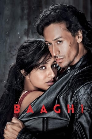 Image Baaghi: A Rebel for Love