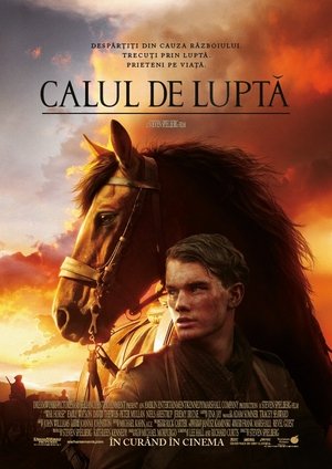 Calul de luptă 2011