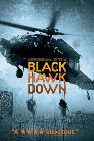 Image Black Hawk Down