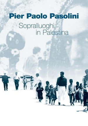 Image Sopralluoghi in Palestina per il vangelo secondo Matteo