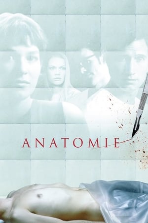 Poster Anatomía 2000