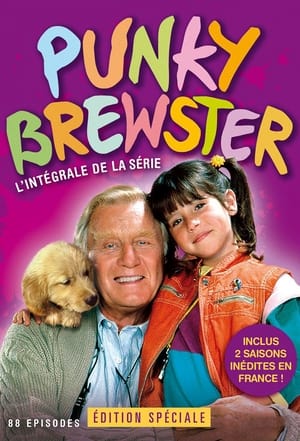 Punky Brewster Saison 3 1988