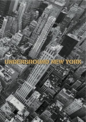 Image Underground New York
