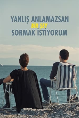 Yanlış Anlamazsan Bir Şey Sormak İstiyorum 