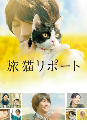 Télécharger The Travelling Cat chronicles ou regarder en streaming Torrent magnet 