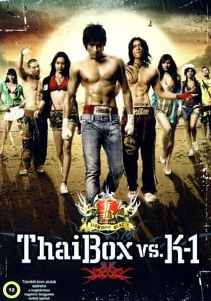 Image Thai Box vs. K-1