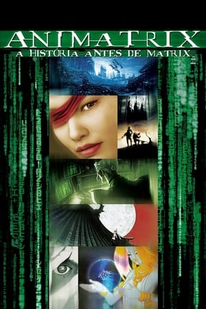 Poster Animatrix 2003