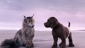 مشاهدة فيلم Cat and Dog 2024 مدبلج