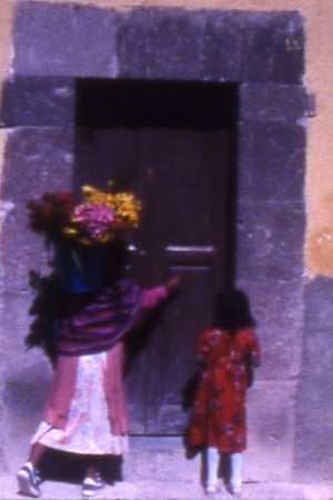 Image Señora con flores