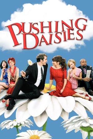 Poster Pushing Daisies 2007