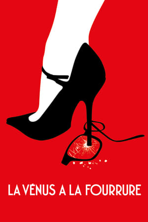 Poster La Vénus à la fourrure 2013
