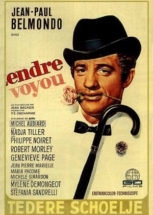 Tendre voyou 1966