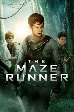 Poster The Maze Runner 2014