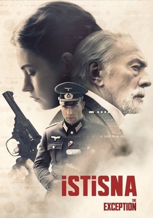 İstisna 2017