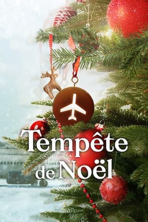 Image Tempête de Noël