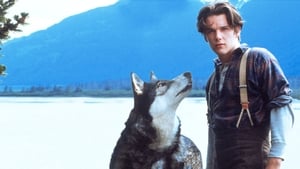 مشاهدة فيلم White Fang 1991 مترجم – مدبلج