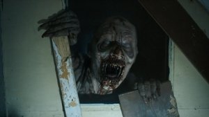 Images posters