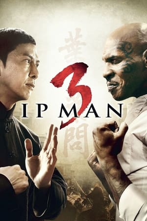 Image Ip Man 3