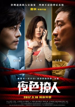 Télécharger 夜色撩人 ou regarder en streaming Torrent magnet 