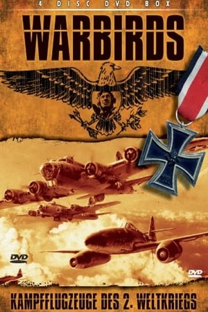 Image War Birds - Kampfflugzeuge des 2. Weltkriegs