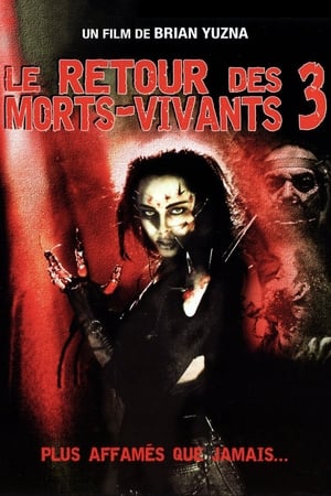 Poster Le Retour des morts-vivants 3 1993