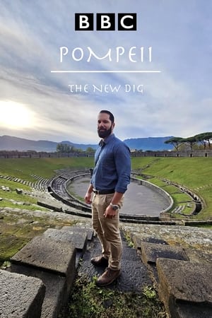Image Pompeii: The New Dig