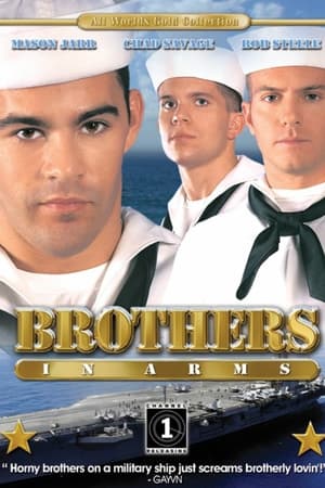 Télécharger Brothers in Arms ou regarder en streaming Torrent magnet 