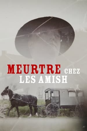 Image Murder in Amish Country