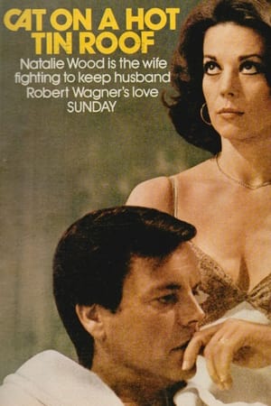 Poster Cat on a Hot Tin Roof 1976