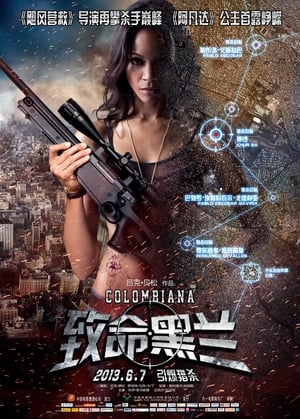 Poster 致命黑兰 2011