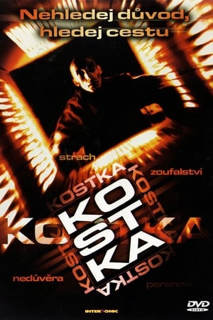 Poster Kostka 1998