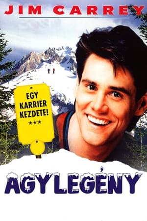 Image Agylegény